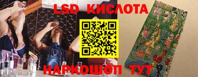 стафф Кимры