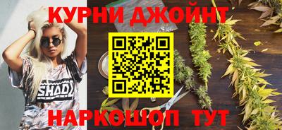 гидра Кингисепп