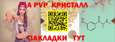 стафф Кинель