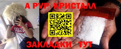 гидра Кингисепп