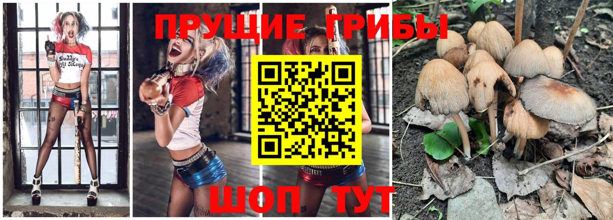 Галлюциногенные грибы мицелий Зеленогорск