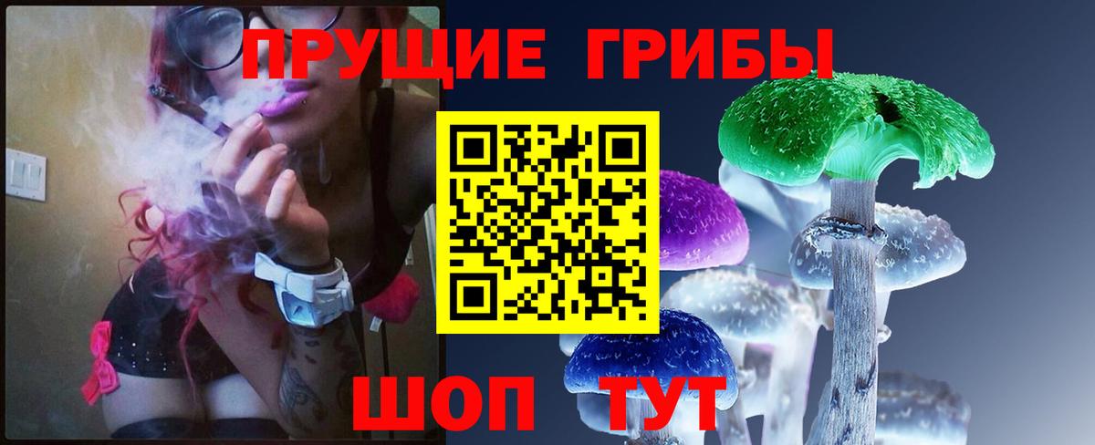 Зеленогорск  Галлюциногенные грибы Psilocybe  Вход с VPN 
